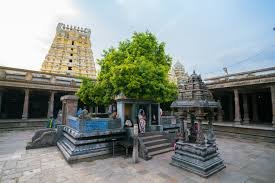 कांचीपुरम के प्रमुख मंदिर